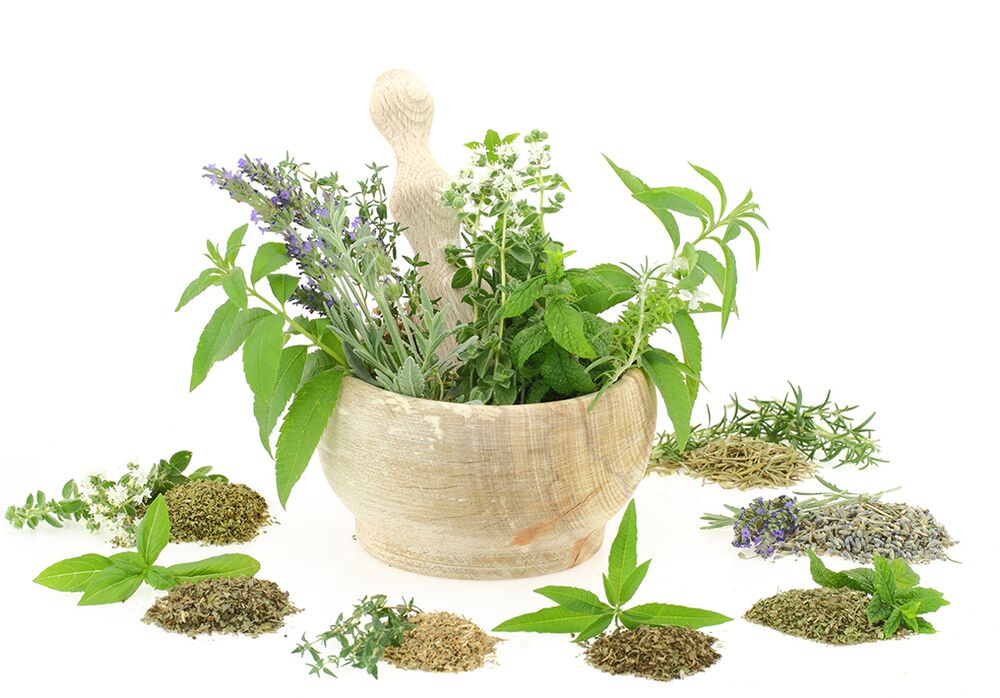 Extraits de plantes entrant dans la composition du produit.