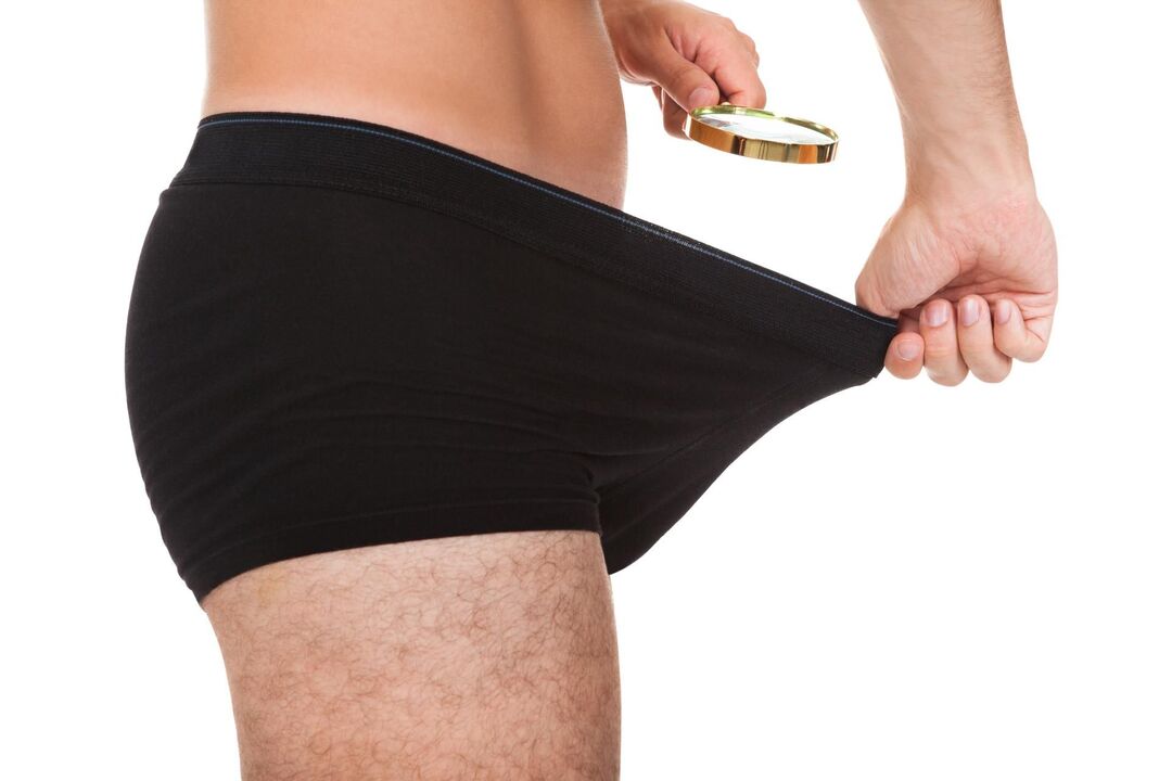 taille normale des organes masculins