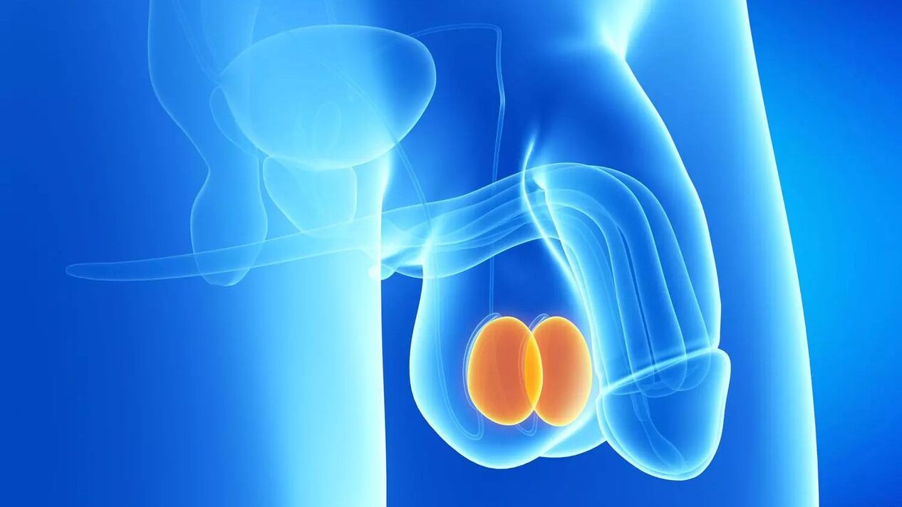 coût de la chirurgie d'agrandissement du pénis