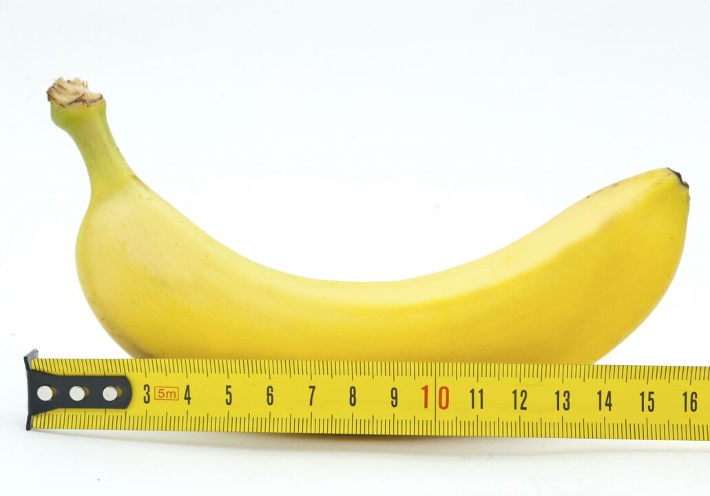 taille normale du pénis
